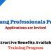 SAP Young Professionals Program, Applications Invited