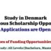 Study in Denmark with Various Scholarship Opportunities for International and EU/EEA Students