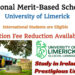 University of Limerick Offers International Merit-Based Scholarship in Ireland