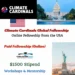Climate Cardinals Global Fellowship (Paid with Benefits)